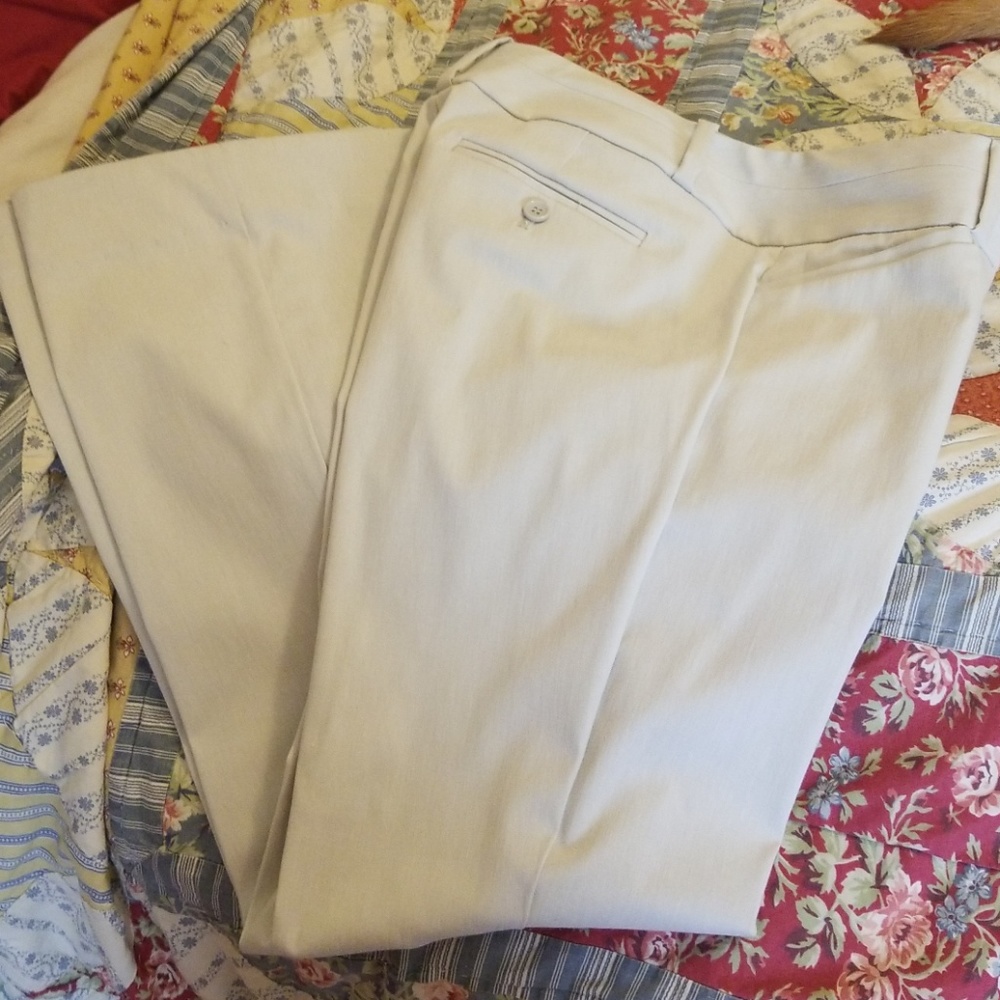 Dress Pants
